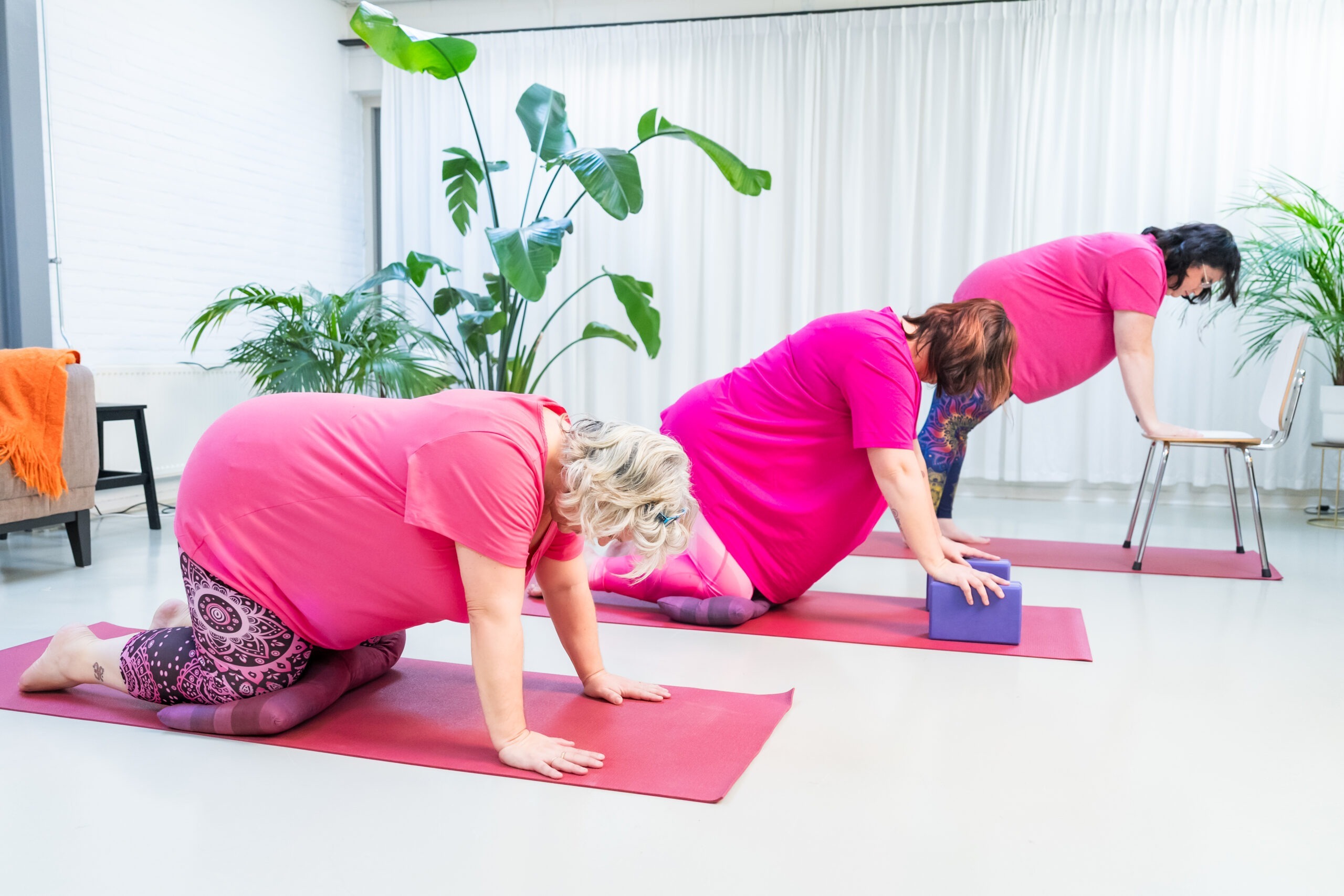 kathouding in 3 varianten Volop Yoga