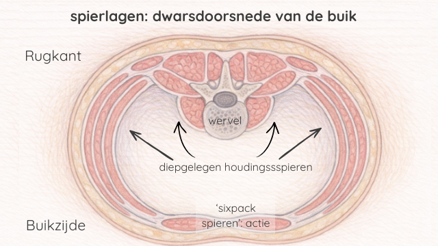 houdings- en actiespieren